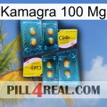 Kamagra 100 Mg cialis5